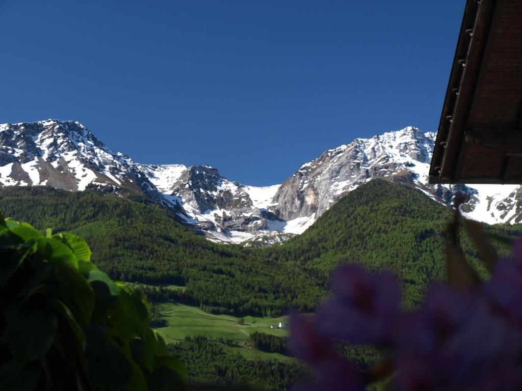 Feldgaertenhof Hotel Silandro Exterior photo